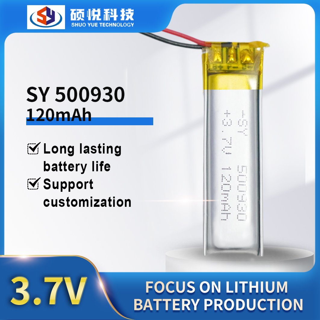 SY 500930