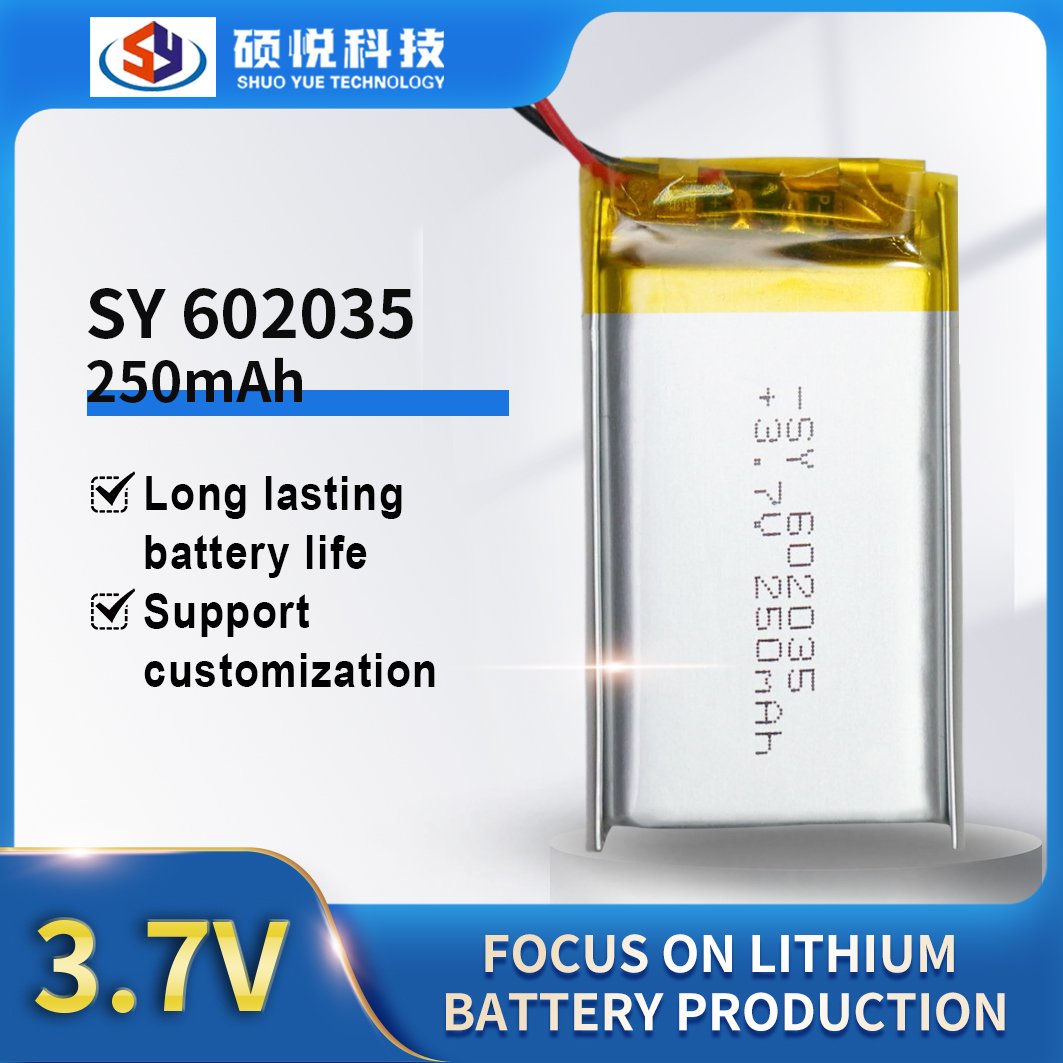 Lithium-Ion Polymer Battery Air Travel